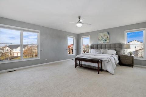 1332 Caribou Ln, Hoffman Estates, IL 60192 photo 22