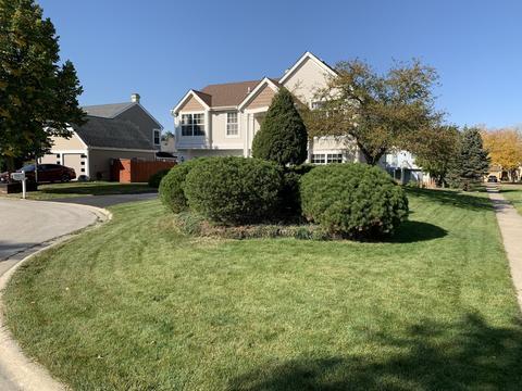 1438 Baron Ct, Bartlett, IL 60103 photo 30