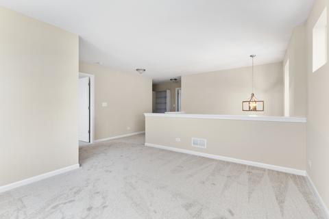 2018 Stapleton Rd, New Lenox, IL 60451 photo 24
