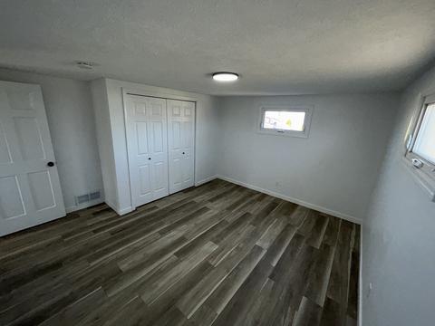 212 S Jackson St, Flanagan, IL 61740 photo 21