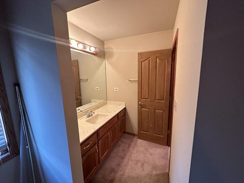3305 Oregon Trl, Olympia Fields, IL 60461 photo 29