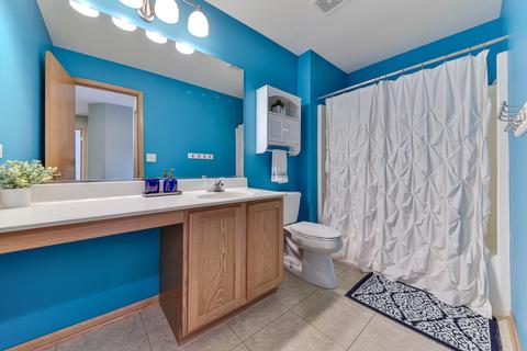 2306 Maple Ridge Dr, Plainfield, IL 60586 photo 24