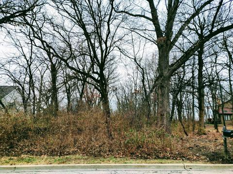 431 Spring Cress Ln, West Chicago, IL 60185