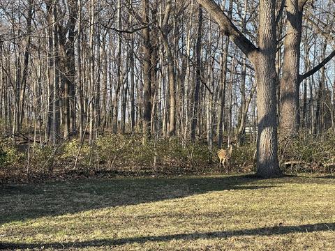 2 S326 Deerpath Rd, Batavia, IL 60510 photo 23