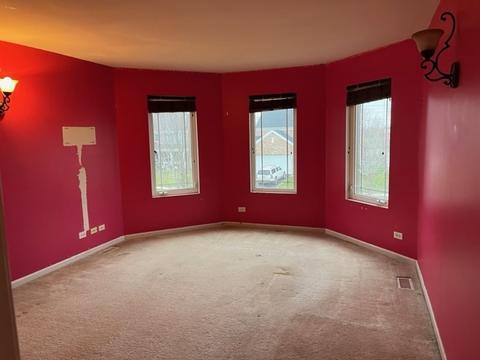 12809 Tipperary Ln, Plainfield, IL 60585 photo 29
