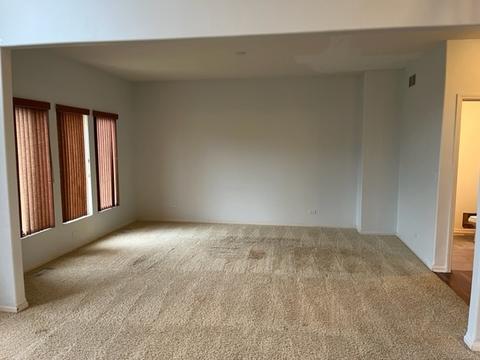 12809 Tipperary Ln, Plainfield, IL 60585 photo 10