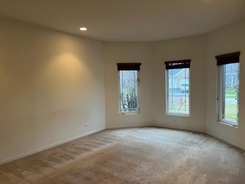 12809 Tipperary Ln, Plainfield, IL 60585 photo 3