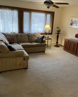 345 E Webster Ave, Elmhurst, IL 60126 photo 6