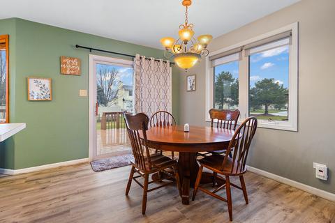 281 Spring Cove Dr, Beecher, IL 60401 photo 7