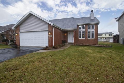 281 Spring Cove Dr, Beecher, IL 60401 photo 19