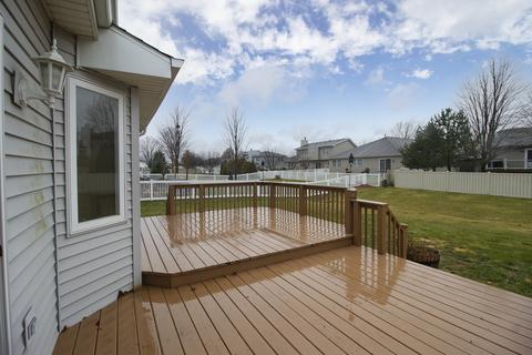 281 Spring Cove Dr, Beecher, IL 60401 photo 17