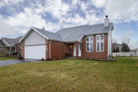281 Spring Cove Dr, Beecher, IL 60401 photo 1