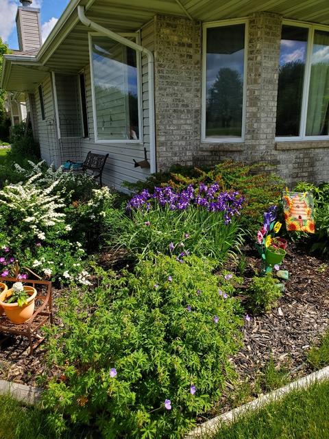 23636 W Feeney Dr, Plainfield, IL 60586 photo 31