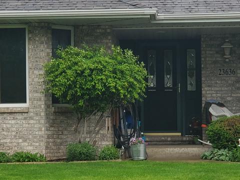 23636 W Feeney Dr, Plainfield, IL 60586 photo 32