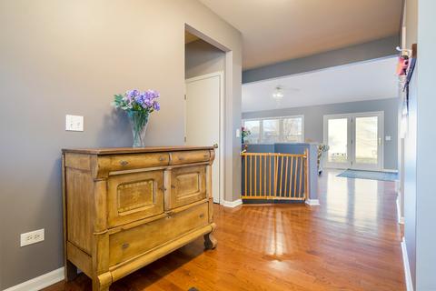 23636 W Feeney Dr, Plainfield, IL 60586 photo 19