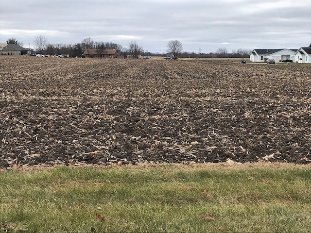 Lot 31 Cardinal St  