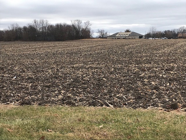 Lot 30 Cardinal St  
