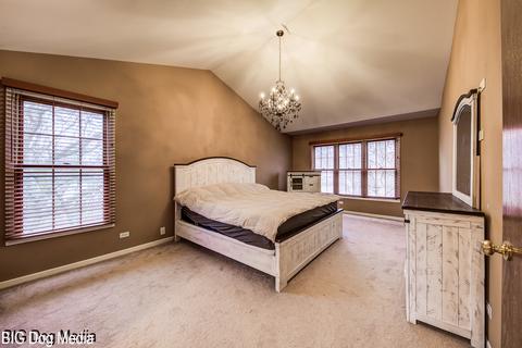 4956 Vermette Cir, Plainfield, IL 60586 photo 34