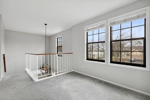 4525 Olmstead Dr, Hoffman Estates, IL 60192 photo 10