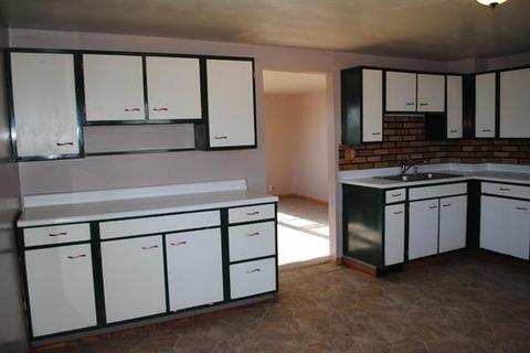 308 E Third St, Leaf River, IL 61047 photo 9