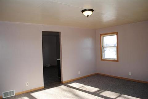 308 E Third St, Leaf River, IL 61047 photo 16