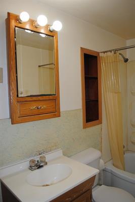 308 E Third St, Leaf River, IL 61047 photo 20