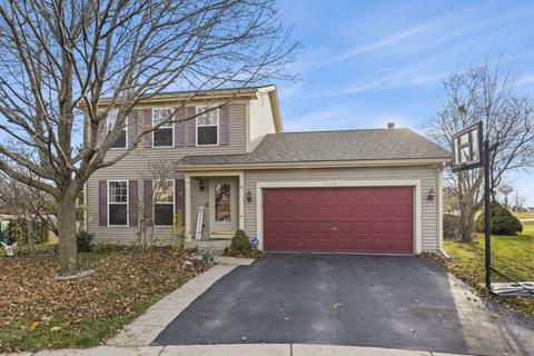 20933 W Ardmore Cir, Plainfield, IL 60544 photo 1