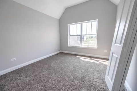 25418 W Alison Rd, Plainfield, IL 60586 photo 22