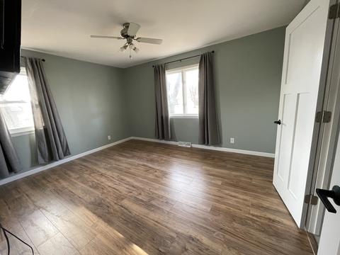403 Elm St, Spring Valley, IL 61362 photo 4