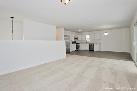 35577 N Ward Ln, Ingleside, IL 60041 photo 8