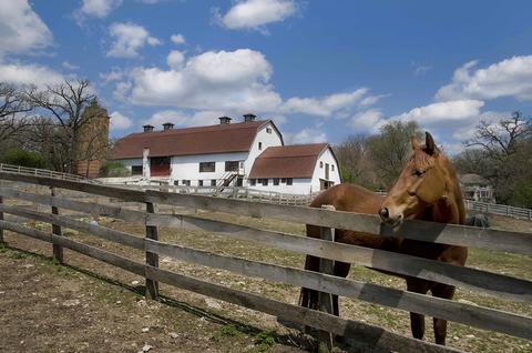 128 Turkey Run Rd, Trout Valley, IL 60013 photo 43