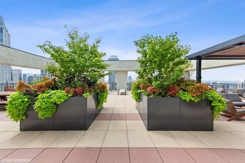 100 E Bellevue Pl #29F, Chicago, IL 60611 photo 21