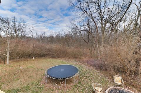 938 Kickapoo Dr, Danvers, IL 61732 photo 41
