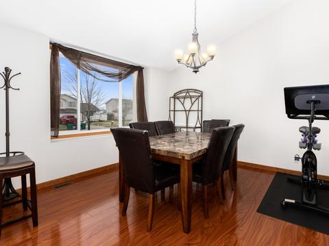 7008 Bitterroot Dr, Plainfield, IL 60586 photo 4