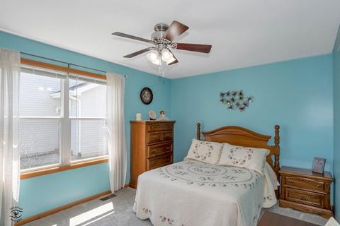 1429 Trailside Dr, Beecher, IL 60401 photo 18