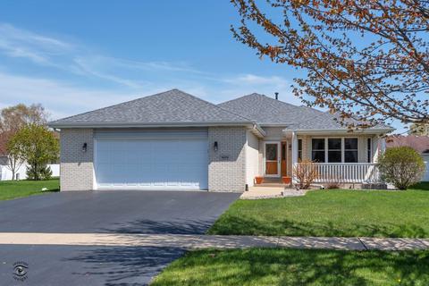 1429 Trailside Dr, Beecher, IL 60401 photo 1