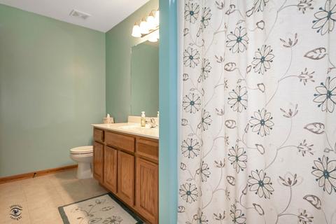 1429 Trailside Dr, Beecher, IL 60401 photo 15