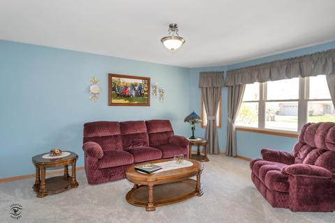 1429 Trailside Dr, Beecher, IL 60401 photo 4