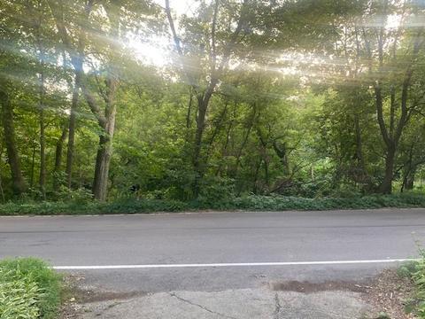 5110 Lee Lot Apt 2 Ave, Downers Grove, IL 60515