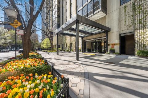 100 E Bellevue Pl #6A, Chicago, IL 60611