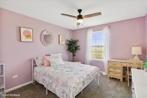 12304 Dublin Ln, Plainfield, IL 60585 photo 25