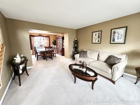 23756 Pond View Dr, Plainfield, IL 60585 photo 9