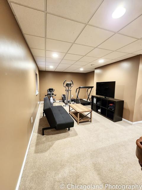 23756 Pond View Dr, Plainfield, IL 60585 photo 35