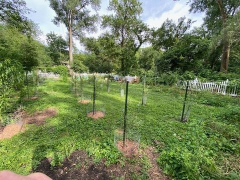 2 S254 Madison St, Wheaton, IL 60189 photo 32