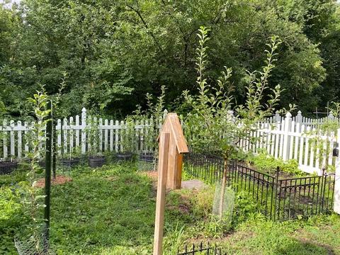 2 S254 Madison St, Wheaton, IL 60189 photo 30