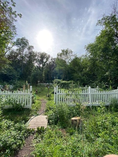 2 S254 Madison St, Wheaton, IL 60189 photo 41