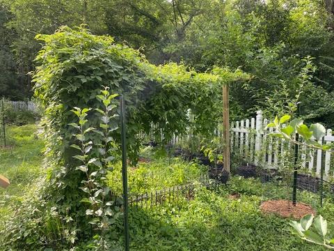 2 S254 Madison St, Wheaton, IL 60189 photo 35