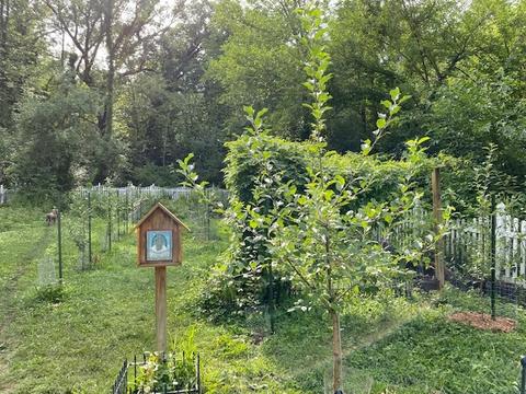 2 S254 Madison St, Wheaton, IL 60189 photo 37