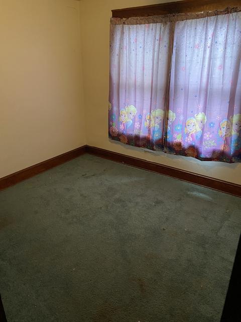 1007 Low St, Bloomington, IL 61701 photo 15
