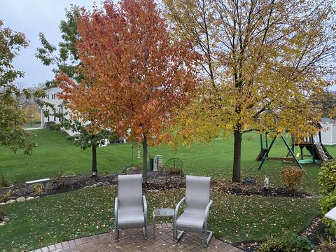 835 Beech Dr, Elgin, IL 60120 photo 16